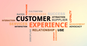 Customer Experience: An Integrated and Orchestrated Ecosystem